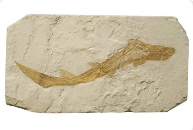 Early Devonian Era