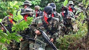 Surgimiento del ELN