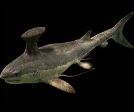 Carboniferous Era