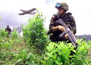 Conflicto armado y narcotráfico