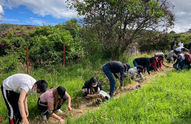Personas En Proceso De Reincorporación y Reintegración,