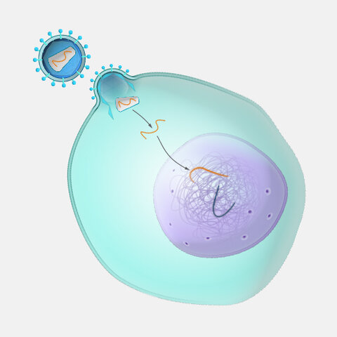 Tratamiento de terapia génica