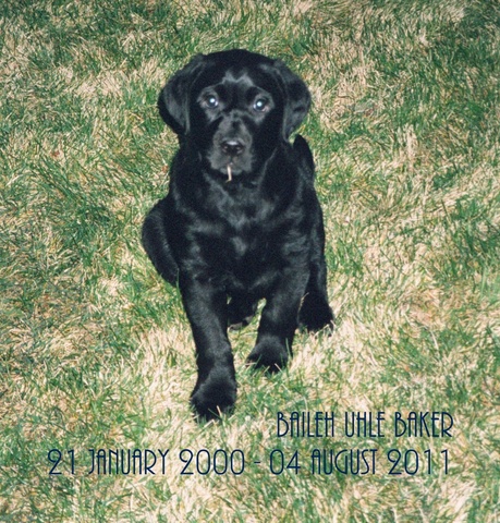 Bailey Uhle Baker born