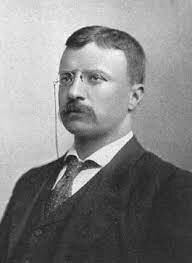 Political Party, Other Political Things