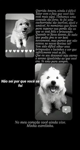 La muerte de la Amora