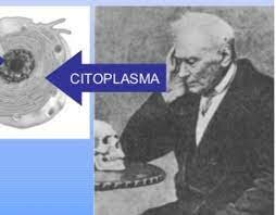 Jan Evangelista Purkinje