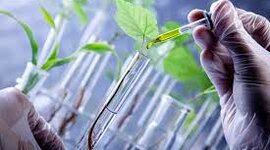 Timeline: BIOTEGNOLOGIA