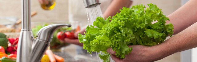 Higiene De Los Alimentos