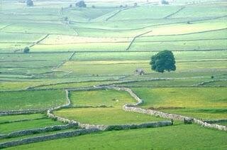 Parliament Encourages Enclosure Movement