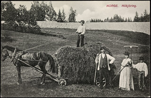 Bøndene får flertall på Stortinget
