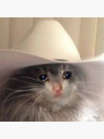 Inicio de año escolar