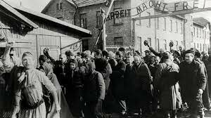 Auschwitz Libertado