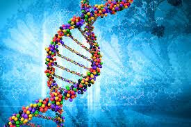 LA SECUENCIACIÓN DEL GENOMA