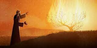 Moses's Covenant & The Ten Commandments