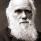 Darwin