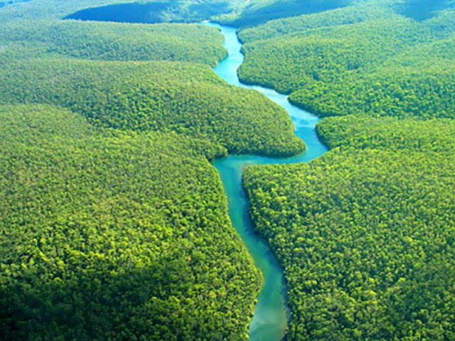 Río Amazonas 2015
