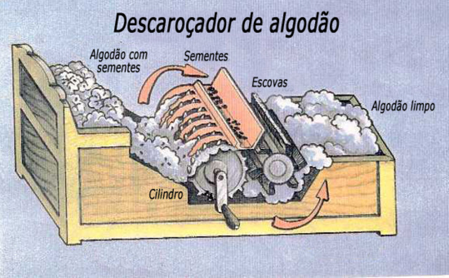 Descaroçador de algodão