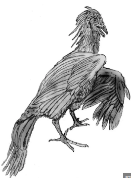 Paleontología en aves