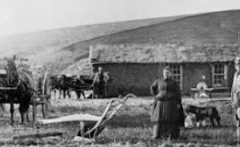 (3) Homestead Act