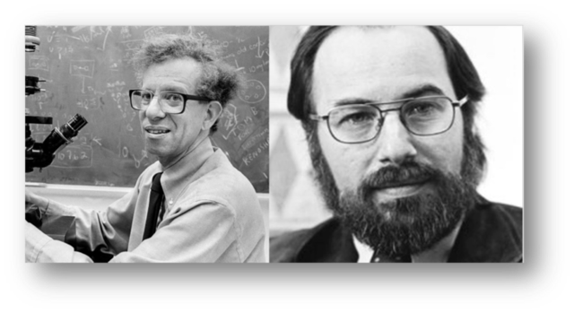 HOWARD TEMIN Y DAVID BALTIMORE