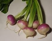 Introduction of Turnips and Four Field Crop Rotation System