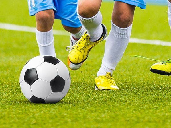 Le scuole medie-La sardina