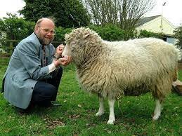 I was born in 1996 when Dolly the sheep was the first mammal to be successfully cloned from an adult cell