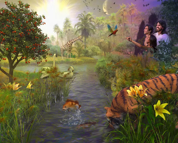 LA CREACION (Dia 7) el SABADO.