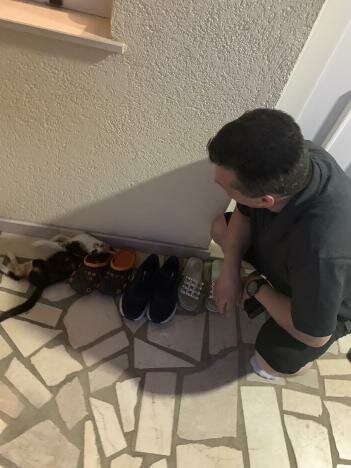 My dad playing with my cat