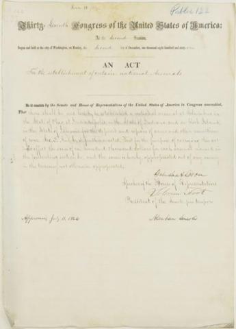 RIA Arsenal Established