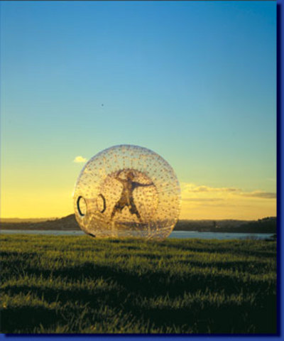 The Zorb