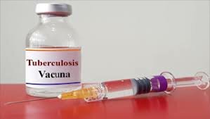 Invenció de la vacuna contra la Tuberculosi