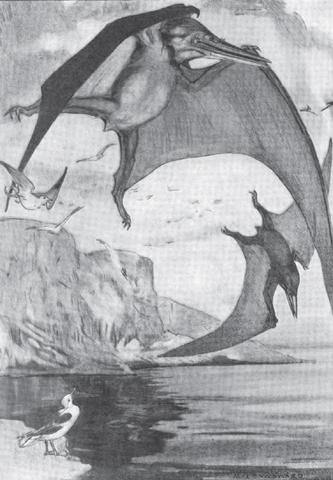 Pteranodon Alice Woodward