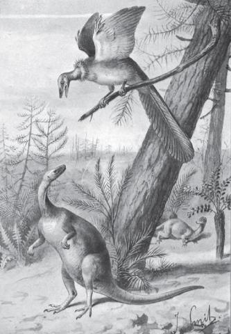 Archaeopteryx-Compsognathus Joseph Smit