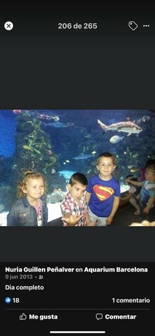 Quan vaig anar a un acuario