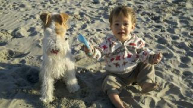 Visited the van der Lee's in San Diego, CA