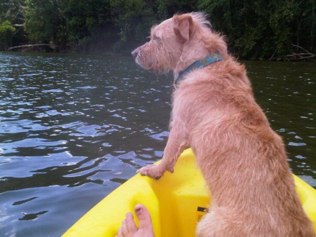 Discovered a love for Kayaking the tidal Potomac