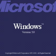Windows 3.0