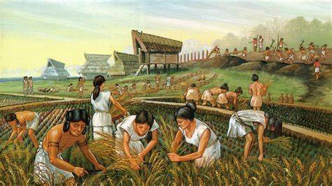 agricultural revolution
