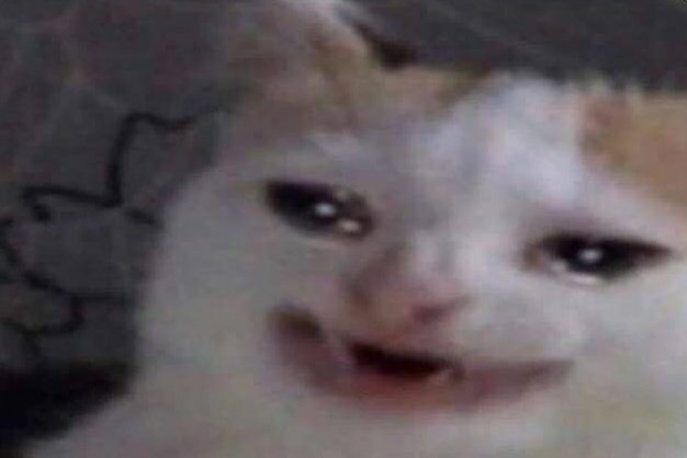 Pase algunas materias