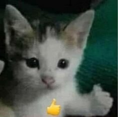 Se separaron mis padres