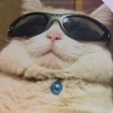 Entre a la universidad