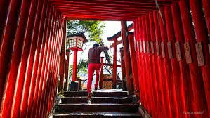 Japon busca mas involucrados en el TPP