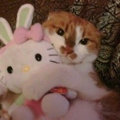 Timeline: Mi linea de vida