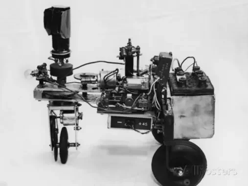 Tortue cybernétique