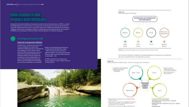 DEBIDA DILIGENCIA EN DDHH  APLICADA A CASOS PARTICULARES