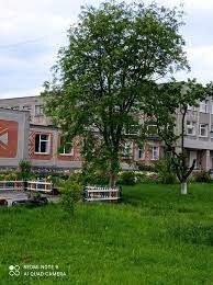 Початок роботи у Привітівському ліцеї