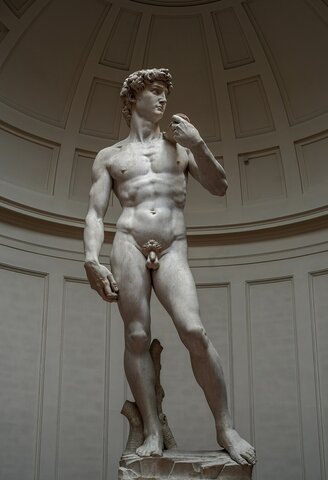 David by Michelangelo (1501-1504)