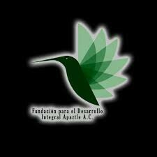 Creació de la "Fundación Apaztle"