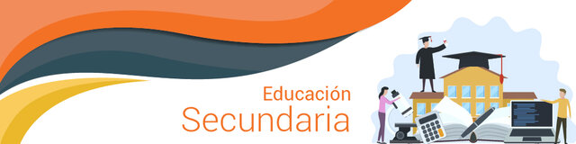Unificación de la enseñanza media